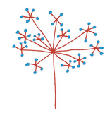 ALMAGUER  & ANISET (Pack de 4)