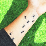ANTS (Pack  de 2)