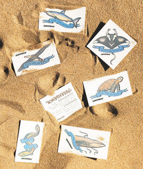 GREENPEACE CAMPAIGN TO SAVE THE OCEAN