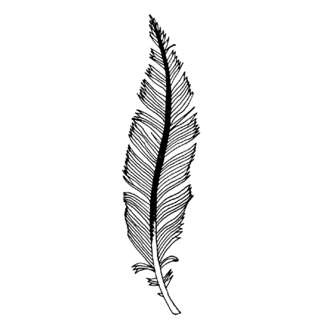 tatuaje pluma
