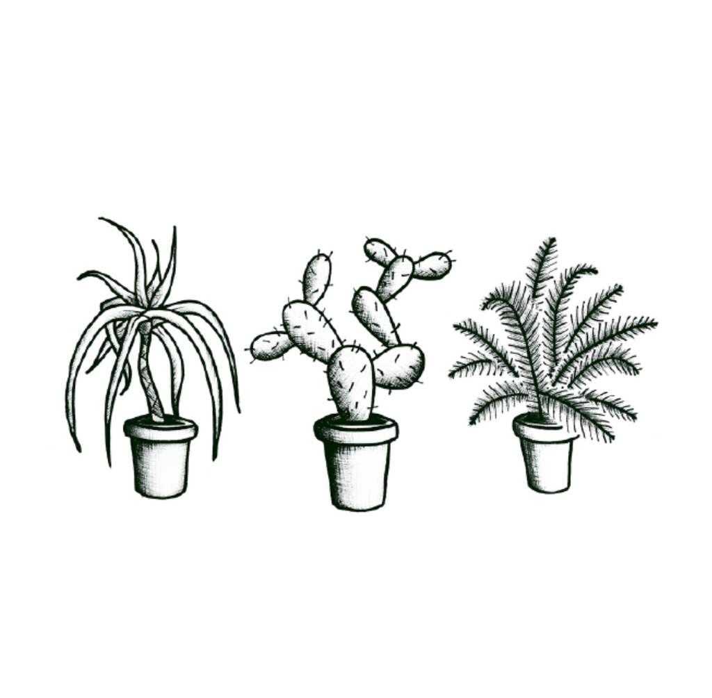 plants tattoo