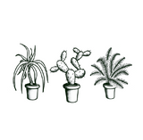 INDOOR PLANTS (Set of 2) 