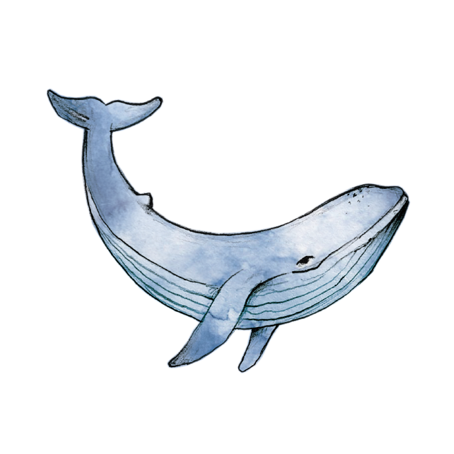 TALE WHALE (Set of 2) 