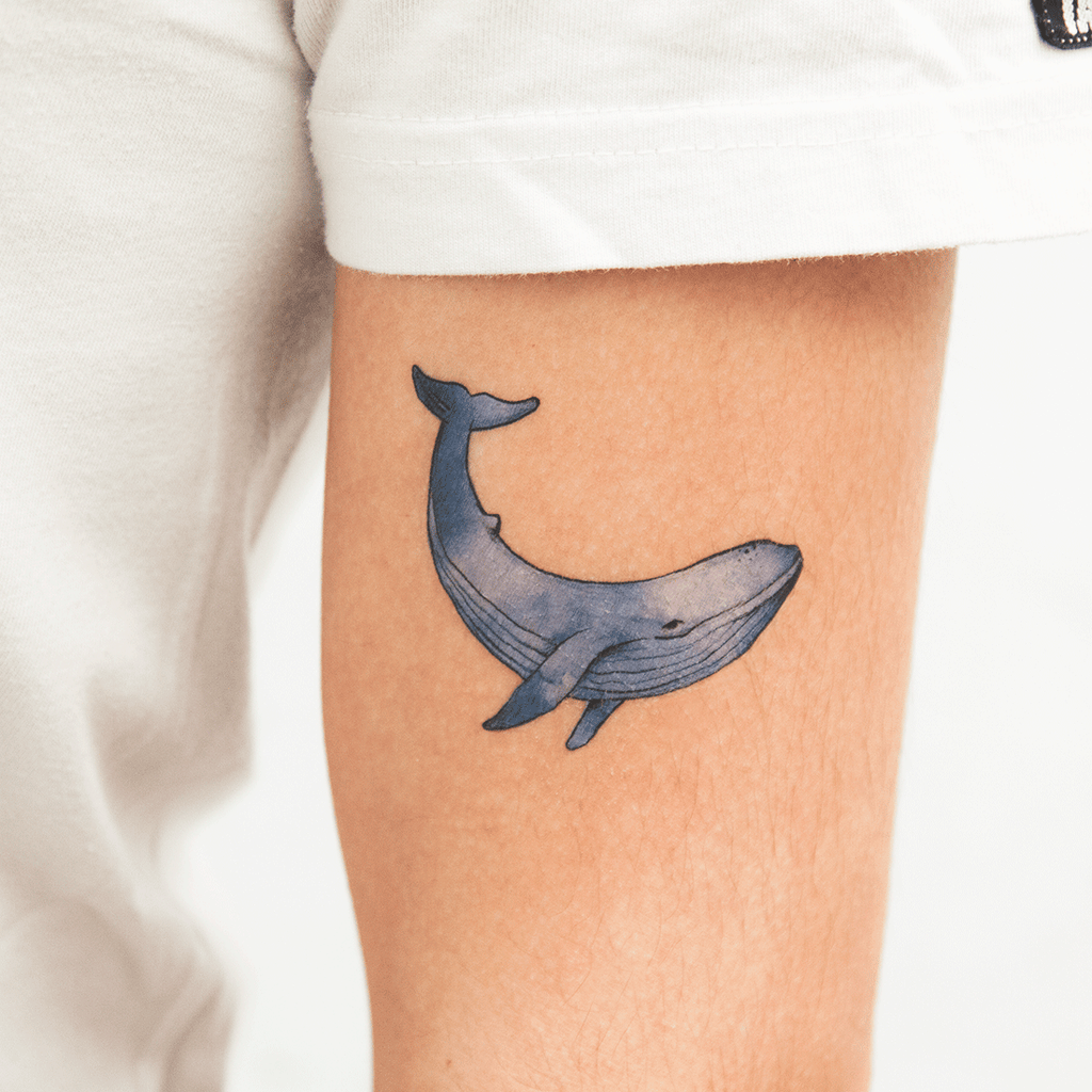 tattoonie temporary tattoos whale