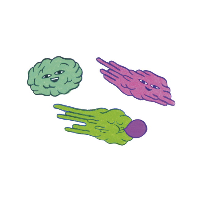 XICLETTO (Pack de 2)