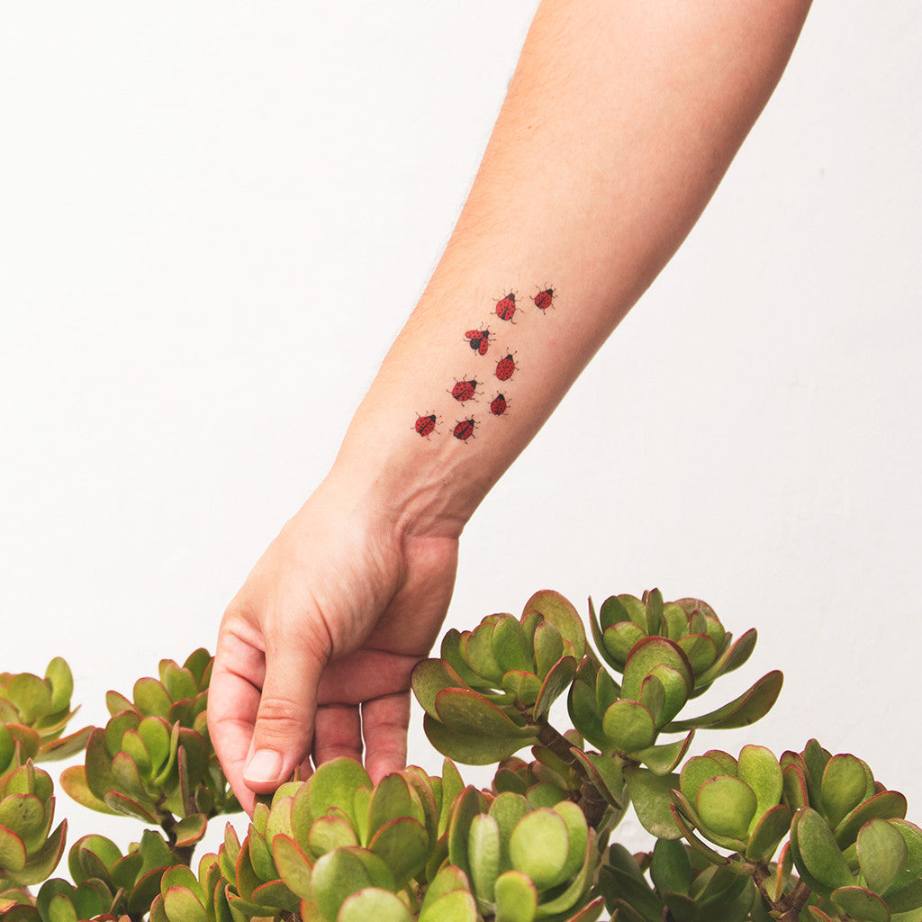Tattoonie Temporary Tattoos sissies ladybug