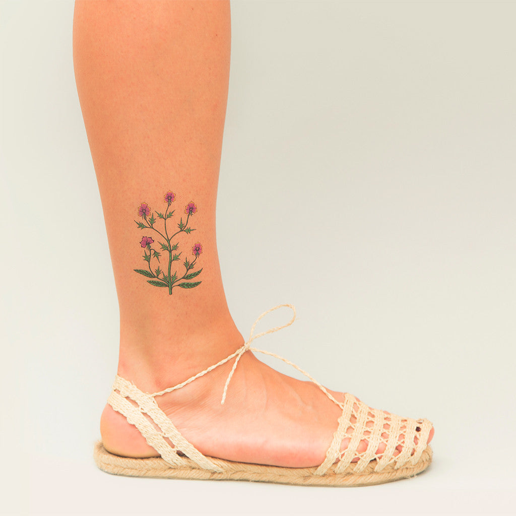 Tattoonie Temporary Tattoos voynich plant flowers